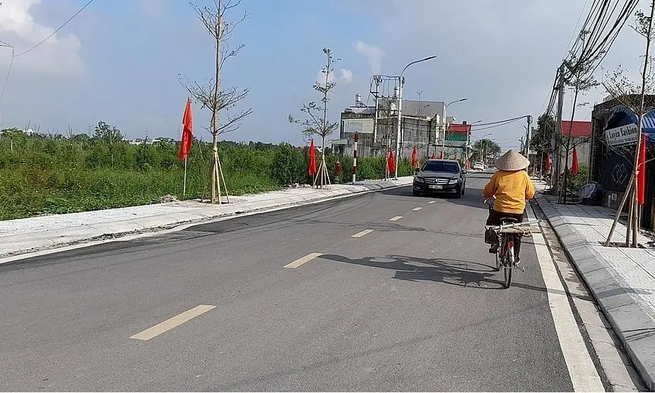 Đường quy hoạch bên hông trại nuôi chó